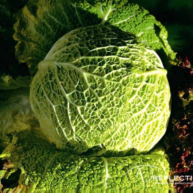 Product Photographer in Sharjah